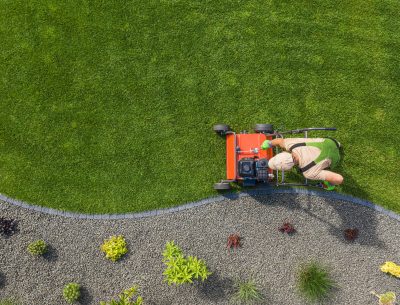 Landscape Design