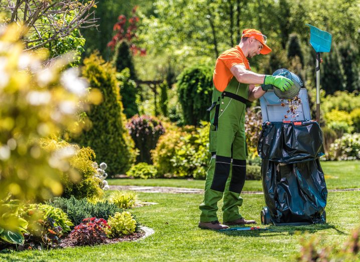 Landscape Property Cleanup