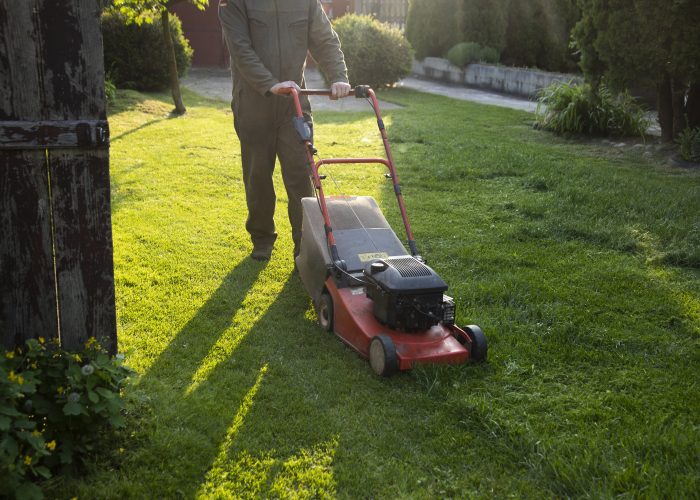 Man Mowing Grass