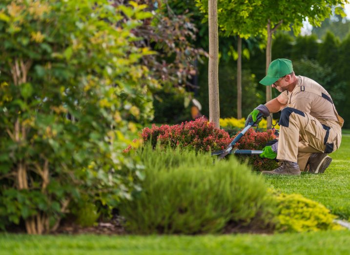 Spring Landscaping